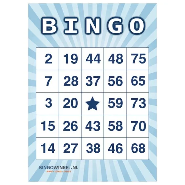 Bingo